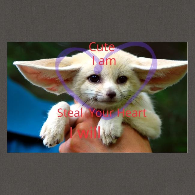 baby fox