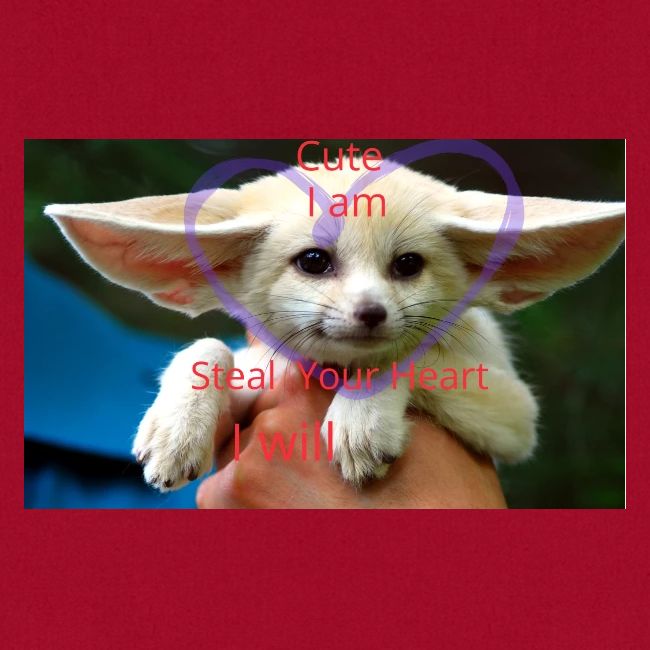 baby fox