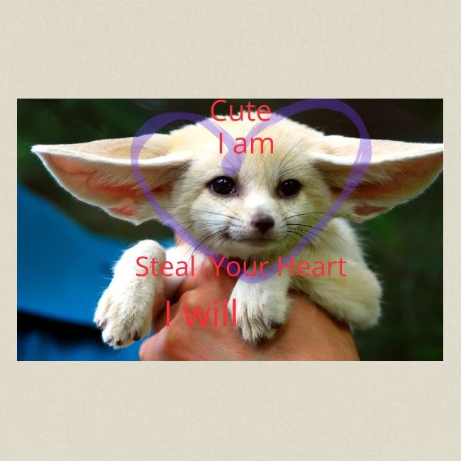 baby fox
