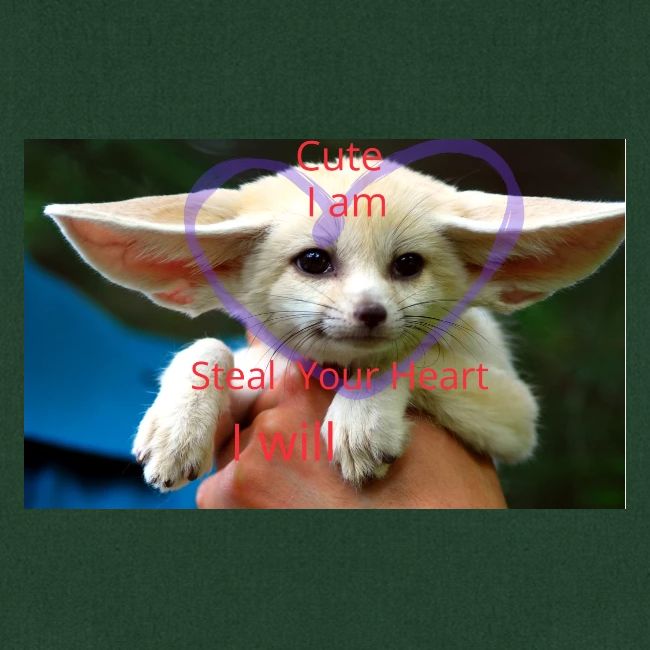 baby fox