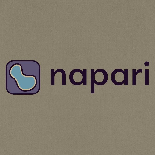 napari merch