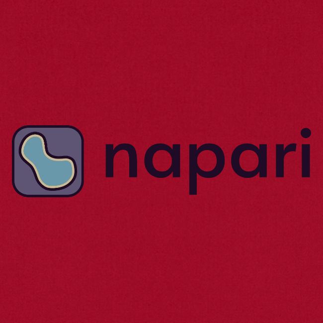 napari merch