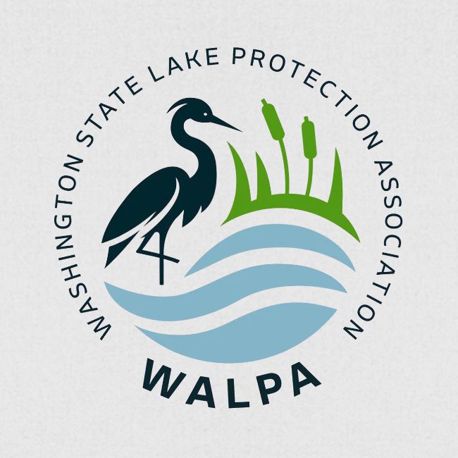 Circular Logo With Text No Background