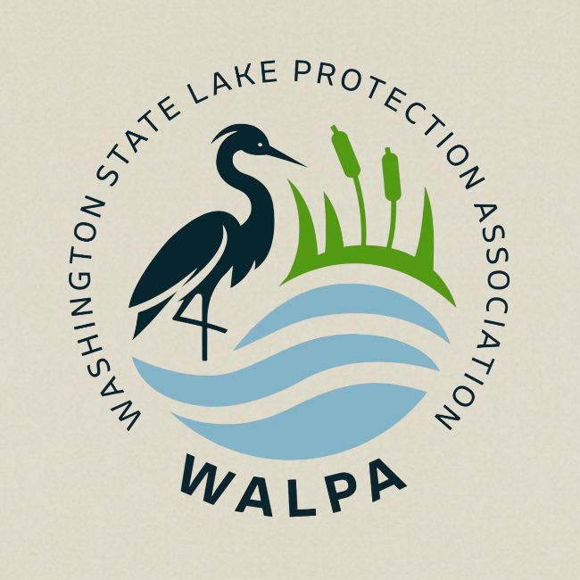 Circular Logo With Text No Background