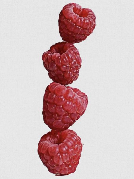 Berries
