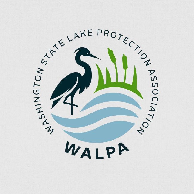 Circular Logo With Text