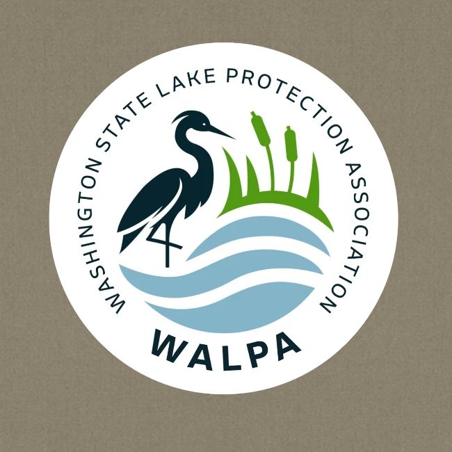 Circular Logo With Text