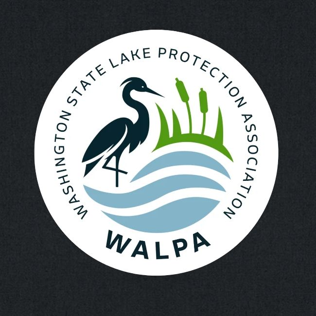 Circular Logo With Text
