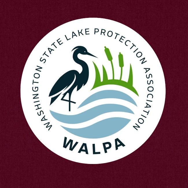 Circular Logo With Text