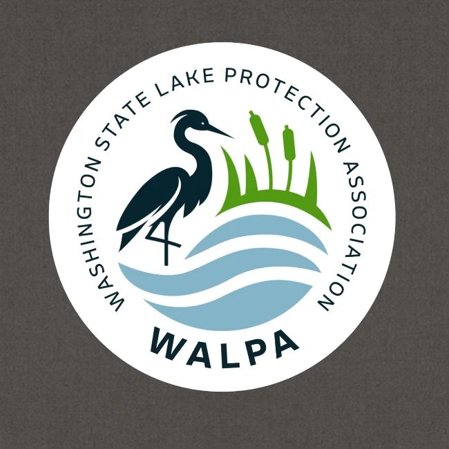 Circular Logo With Text