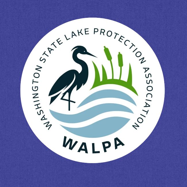Circular Logo With Text