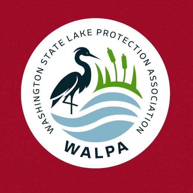Circular Logo With Text