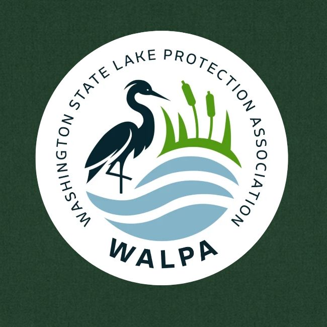Circular Logo With Text