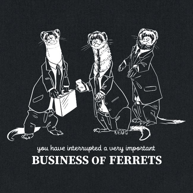 Business of Ferrets