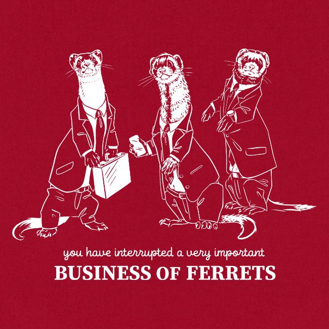 Business of Ferrets