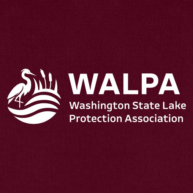 WALPA White logo
