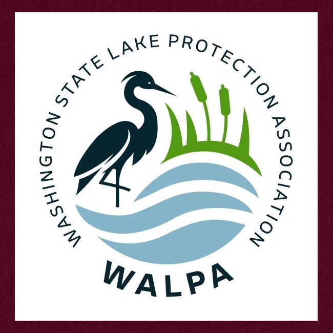 Square Logo With Text