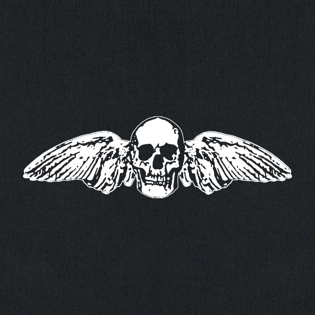Skull + Wings