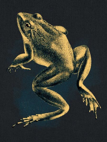 Frog Halftone Dots