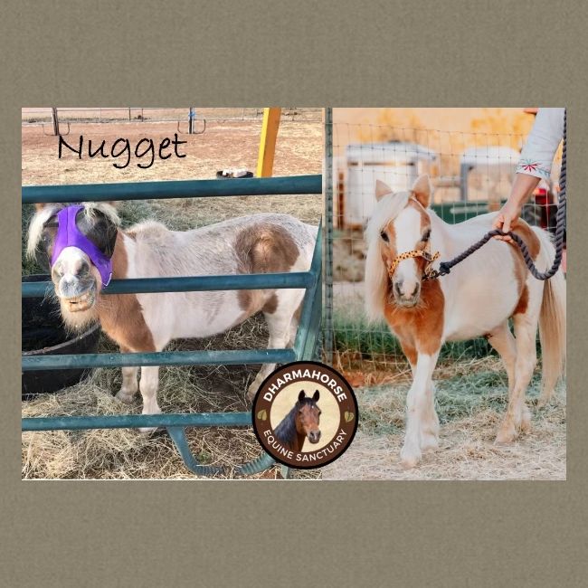 Nugget