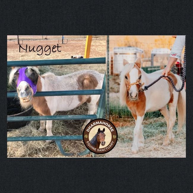 Nugget