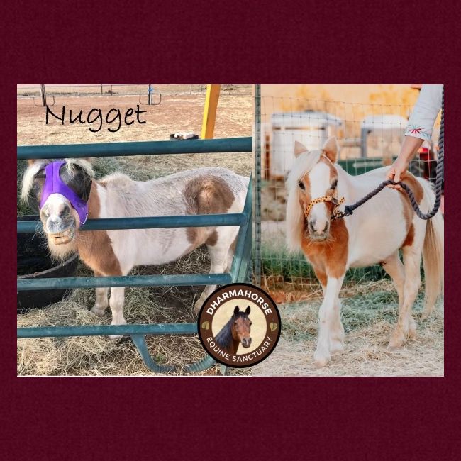 Nugget