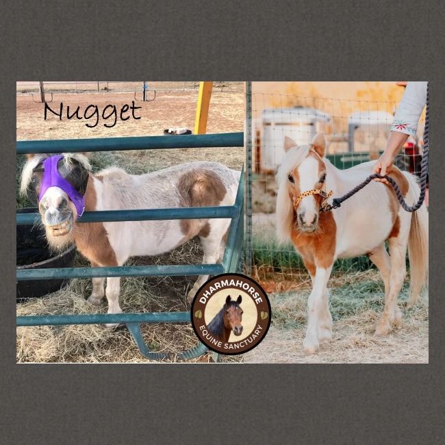 Nugget