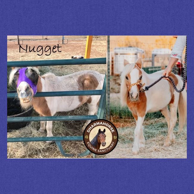 Nugget