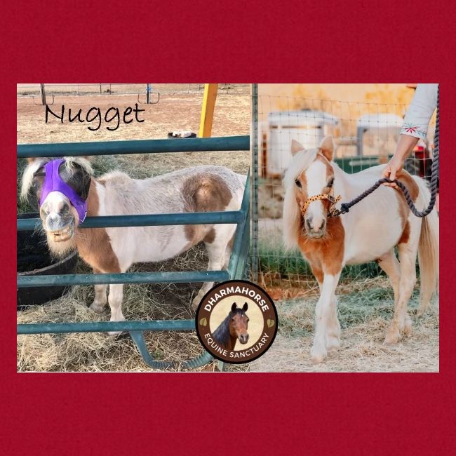 Nugget