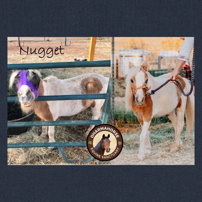 Nugget