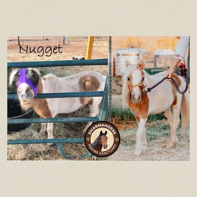 Nugget