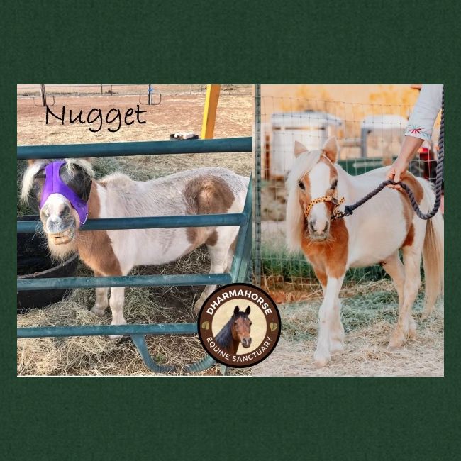 Nugget