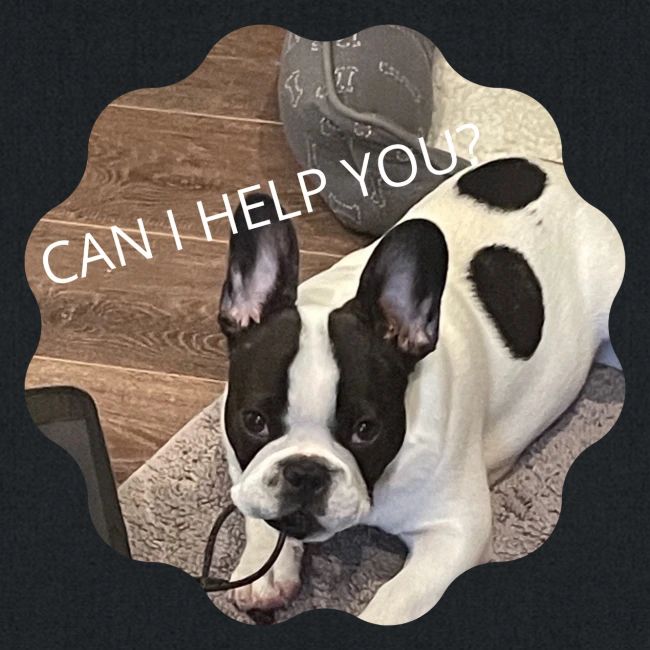 MOCHI CAN I HELP YOU