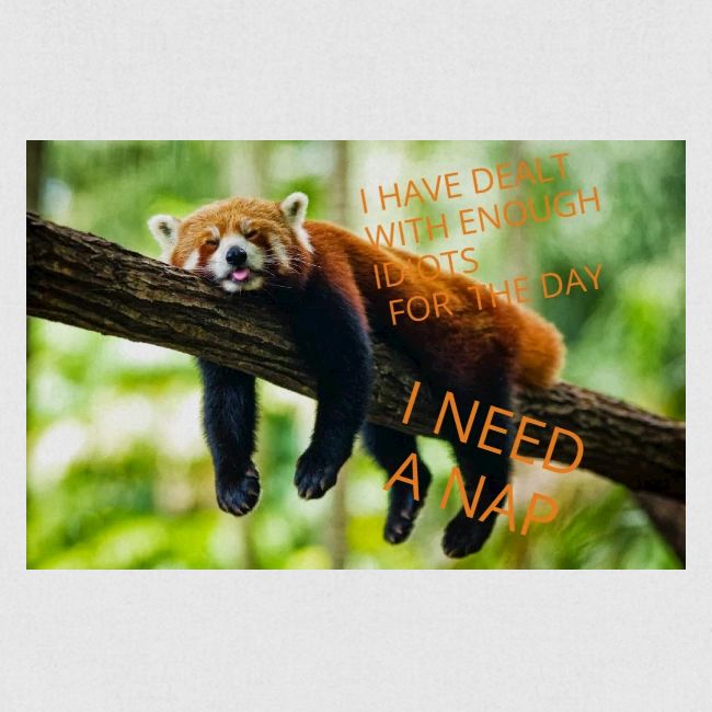 Fox napping meme