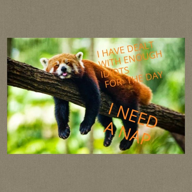 Fox napping meme