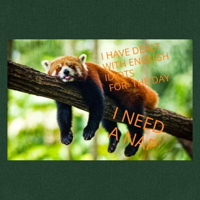 Fox napping meme