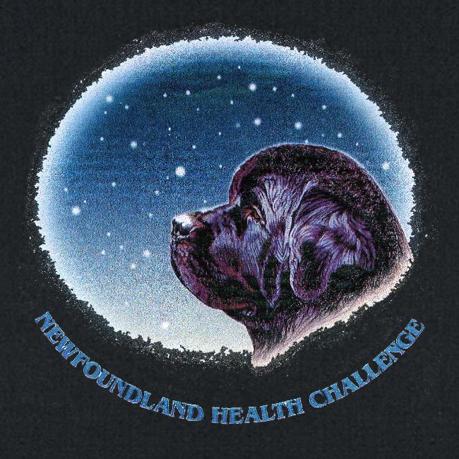 NCA Newfoundland Health Challenge Logo Gear