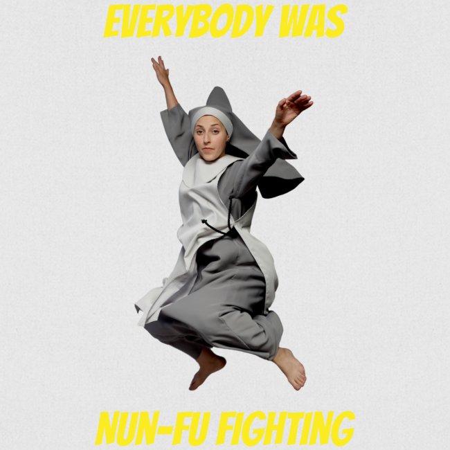 EVERYBODY WAS NUN-FU FIGHTING