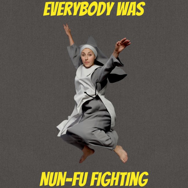 EVERYBODY WAS NUN-FU FIGHTING