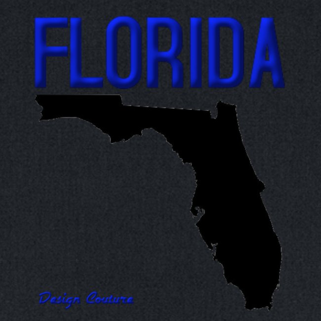 FLORIDA REGION MAP BLUE