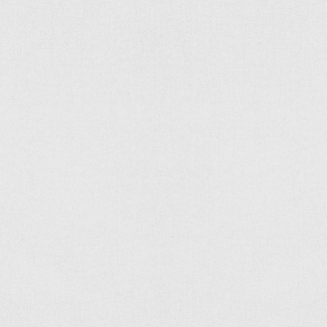 ST JOHN THE BAPTIST, PRAY FOR US!