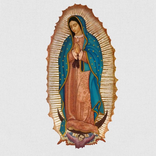 our lady of Guadalupe
