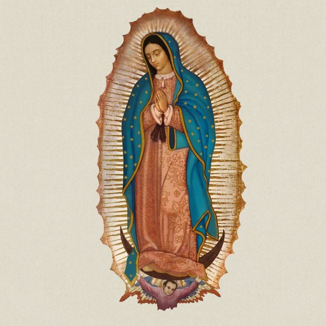 our lady of Guadalupe