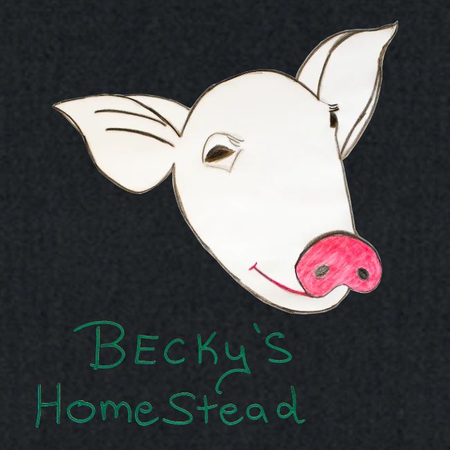Piggy