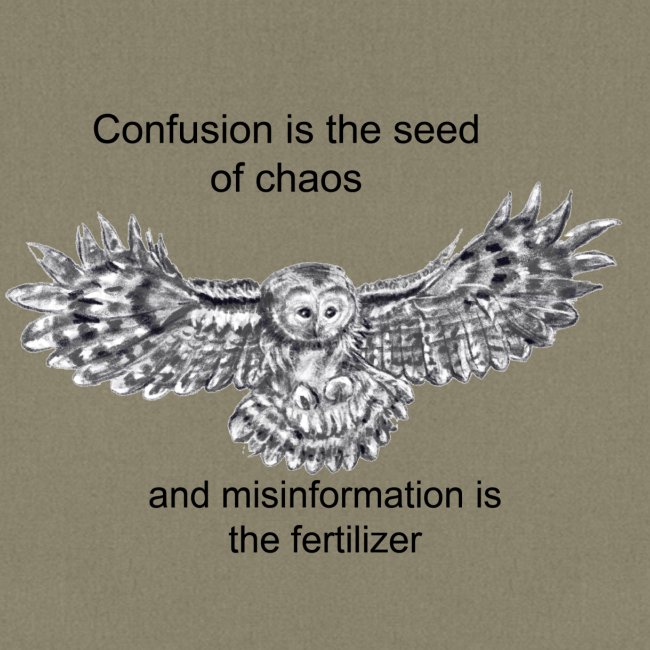 Chaos owl