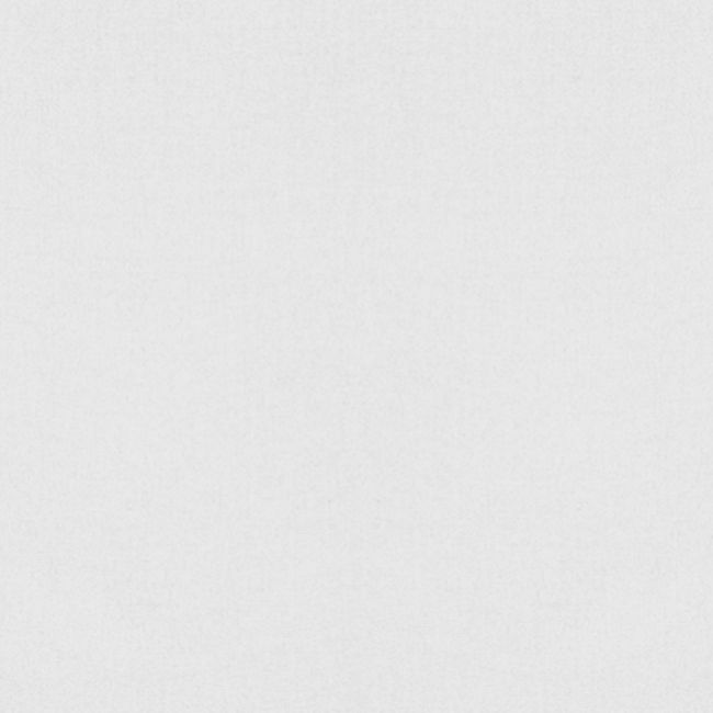 LH Logo White
