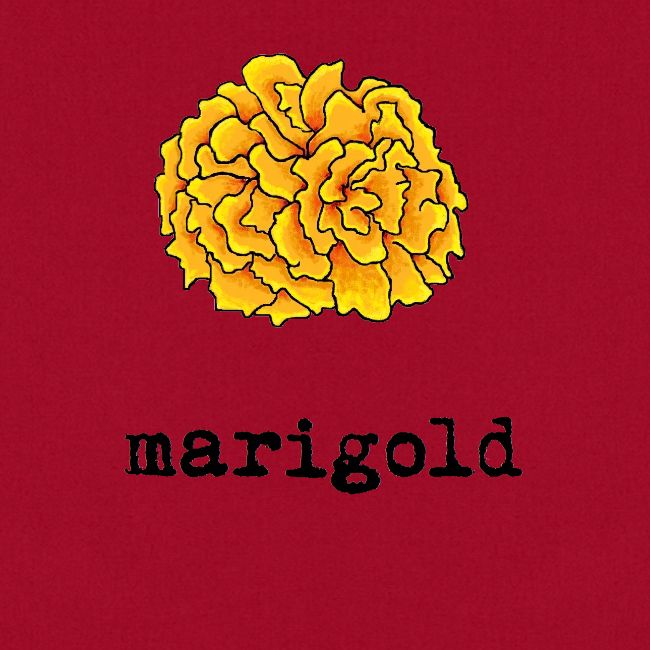 Marigold (black text)