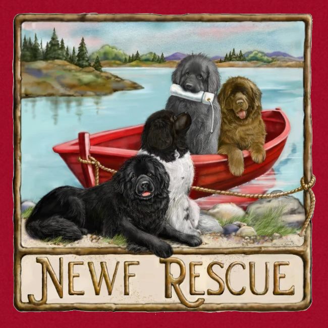 NCA Newfoundland Dog Rescue Gear