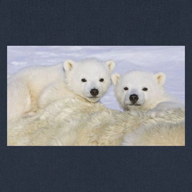 polarbears