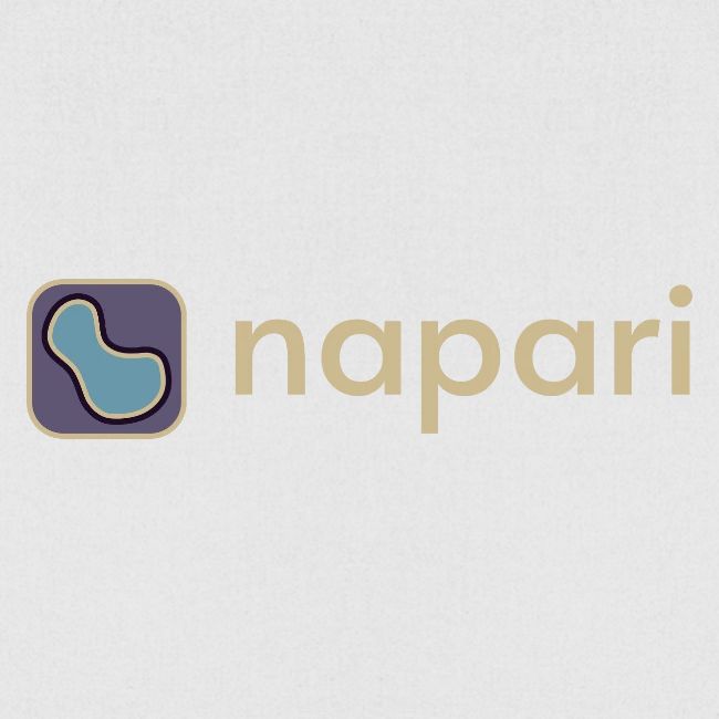 napari merch (lighter design)